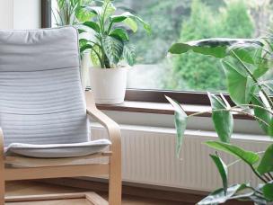 How to create your own indoor jungle with houseplants in the UK