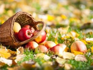 Jak zadbać o ogród jesienią?