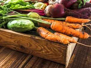 June planting and harvesting guide