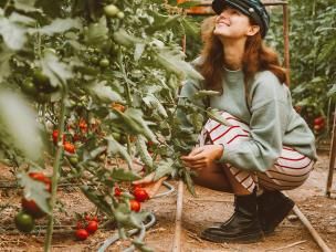 Moestuin met Substral - Potager avec Substral - Love The Garden