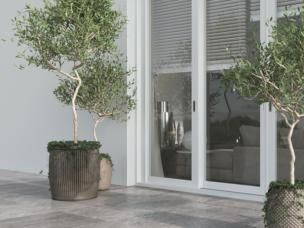 olijfbomen verzorgen