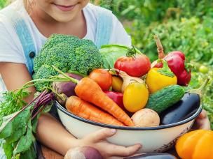 Bol avec de délicieux légumes du potager qui ont été protégés contre les invités indésirables