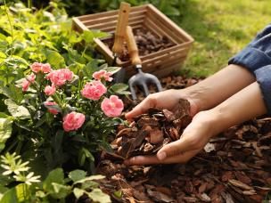 Paillage jardin et potager