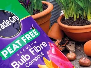 Peat free gardening explained