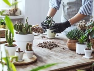 Corporate Sustainability Reports | Evergreen Garden Care