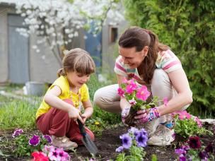 Staying safe while you garden: how to minimise health risks