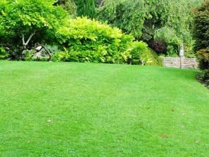 Aussie homeowner’s guide to a lush green lawn
