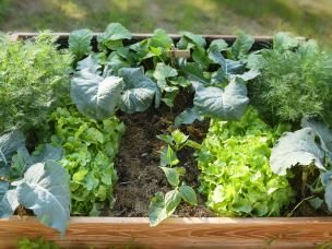 gemakkelijke groenten