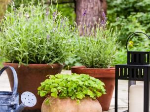 potten op het terras
