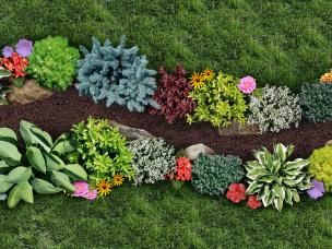 Feeding plants and borders