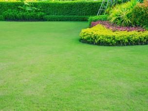 A level green lawn surrounding a flower bed.