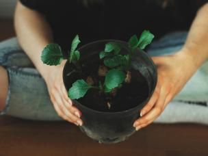 Your compost is changing | Evergreen Garden Care