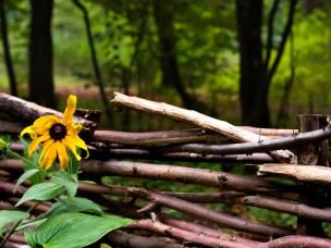 wat doen met snoeiafval