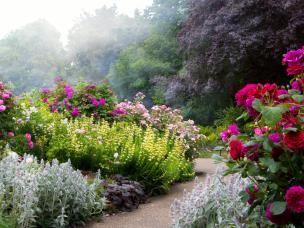 borders aanleggen in de tuin