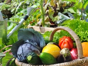 Durabilité et Evergreen garden care