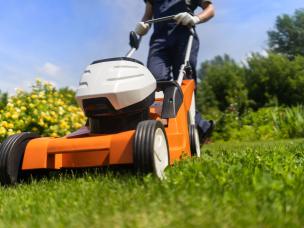 A person mowing the lawn with plants and shrubs in the background