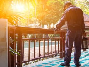 Ein Schädlingsbekämpfer weiß als letzte Instanz, wie du die Ameisen nachhaltig bekämpfen kannst.