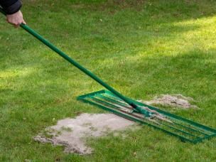 Rasen ebnen: So gleichst du Unebenheiten aus
