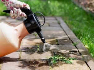 Top ways to treat weeds