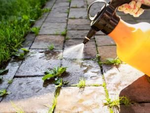 How to use weedkiller