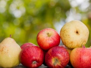 carpocapse pommes poires