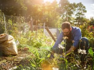 Why is gardening good | David Domoney | Miracle Gro