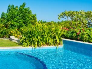 Aménagez sa piscine avec des plantes 