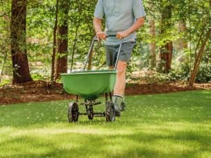 Jak przygotować trawnik na sezon?