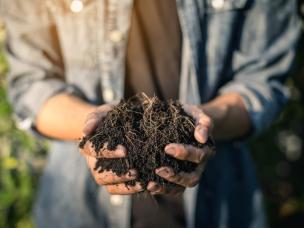 How to make organic compost