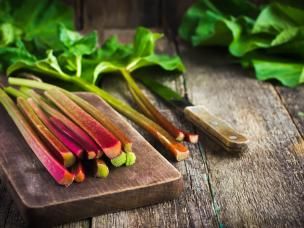 How to grow and care for rhubarb