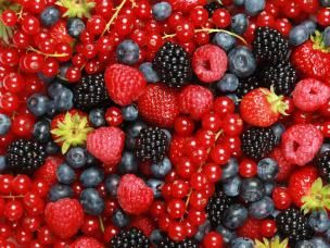 Collection of summer berries