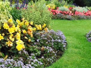 Roundup La Pause Jardin