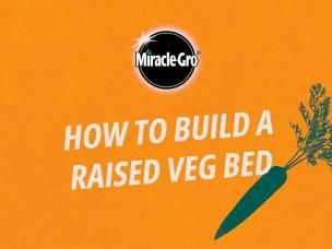 How to build a raised bed for growing your own veg