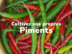 Cultivez vos propres piments