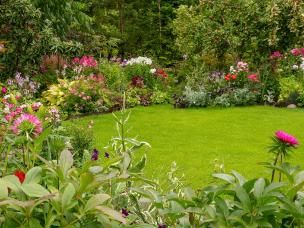 A neatly cut real grass lawn surrounded by borders full of colourful flowers 