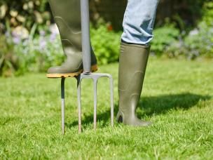 Close-up of gardener’s booted foot using garden fork to aerate lawn
