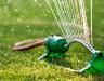 How to Water Your Lawn For Greener Grass