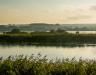 Helping to create peatland biodiversity