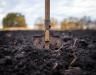 Enriching your garden soil