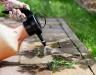 Top ways to treat weeds