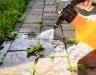 How to use weedkiller safely