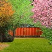 Gardening in September