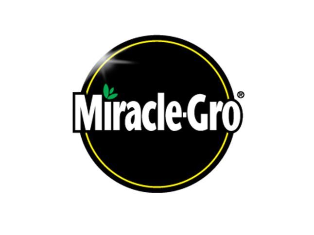 Miracle Logo