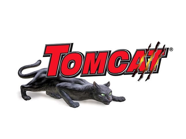 Tomcat logo