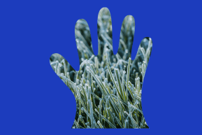 Frosty July