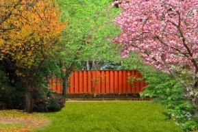 Gardening in September