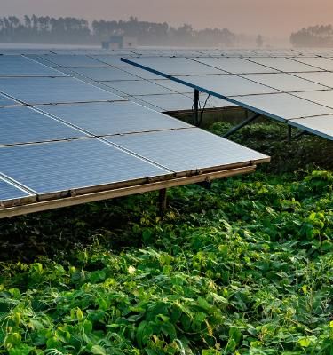Sustainability 