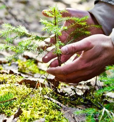 Evergreen Garden Care wil vriendelijker zijn voor de natuur