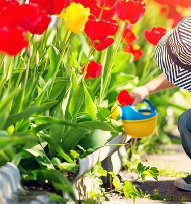 Entretien et soin du jardin