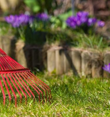 Conseils et astuces pour entretenir et fertiliser votre pelouse